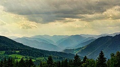 Stop Nexting: Finding Beauty In The Present Moment